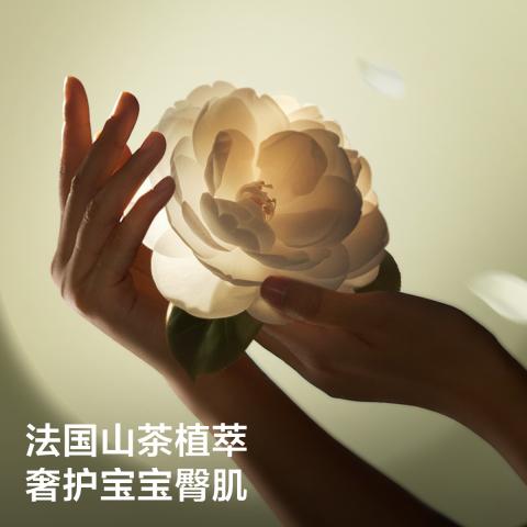 Babycare 【品牌直供 安心品质】山茶轻柔新生儿纸尿裤NB-L码3片 图片 5