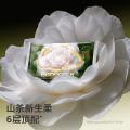 bc babycare 山茶保湿纸巾新生婴幼儿童专用云柔巾宝宝乳霜纸7抽 图片 2