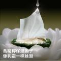 bc babycare 山茶保湿纸巾新生婴幼儿童专用云柔巾宝宝乳霜纸80抽 图片 3