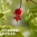 bc babycare 婴儿手口湿巾宝宝湿纸巾成人可用橙盖湿巾20抽 图片 2