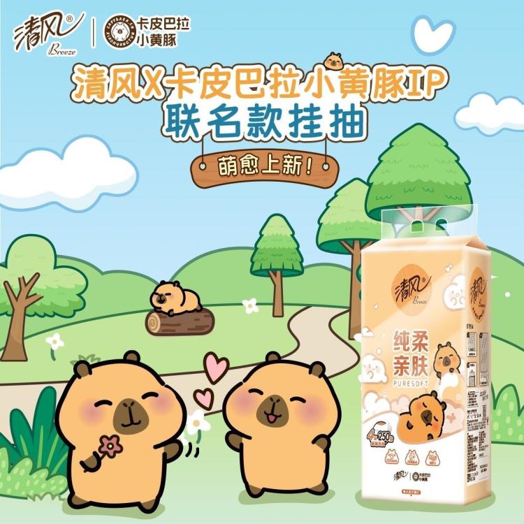 清风 【250抽大码加厚】清风卡皮巴拉抽纸悬挂式纸巾家用挂式手纸 图 4