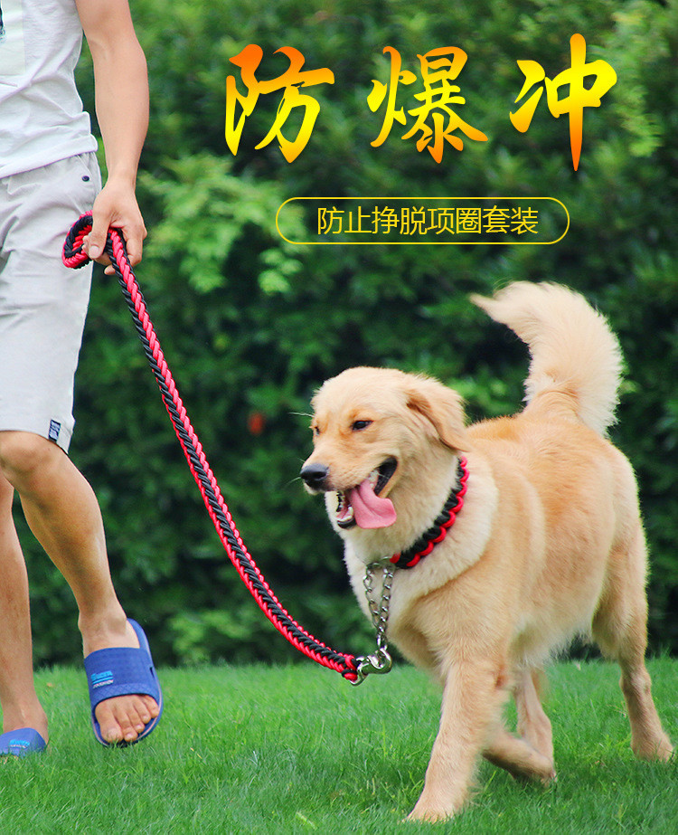 狗狗牵引绳狗绳子遛狗链子带项圈p链中型大型犬金毛拉布拉多狗带