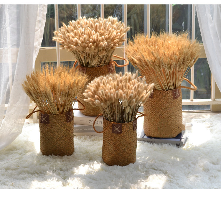 天然麦穗风干花真花束开业大麦客厅卧室装饰礼品道具麦子