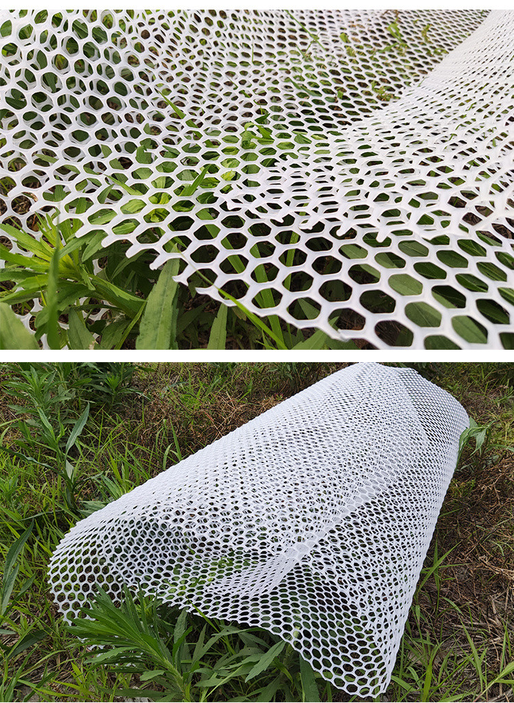 塑料养殖网阳台防护网防坠掉东西围栏胶网格片猫封窗鸡漏粪育雏网