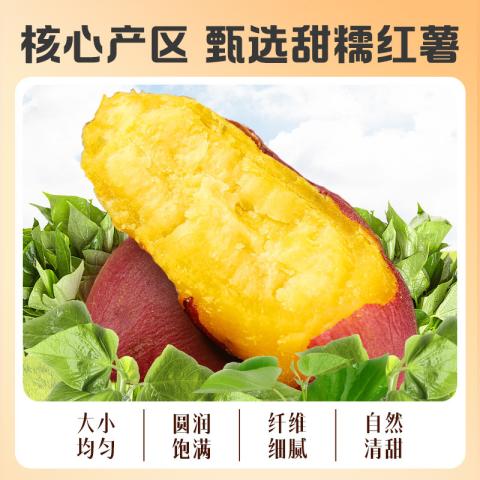 百草味 0添加红薯干500g蒸番薯地瓜干低脂代餐休闲健康办公小零食 图片 5