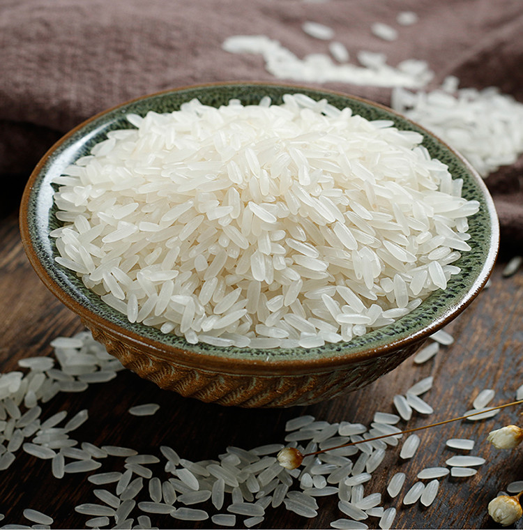 万年贡米500g大米体验装南方大米籼米新米江西特产