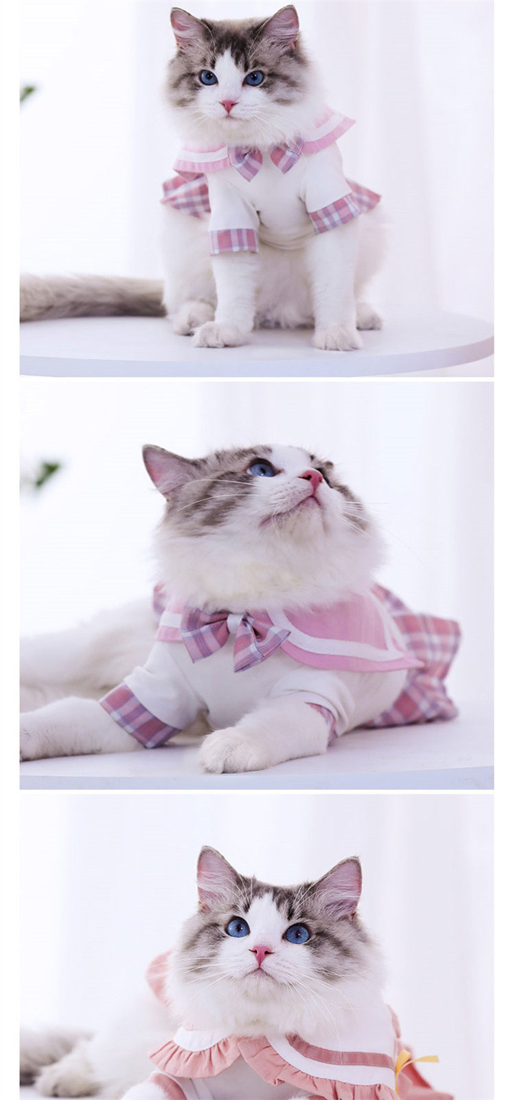 猫衣服jk夏季薄款猫咪衣服布偶猫可爱裙子小奶猫连衣裙宠物百褶裙