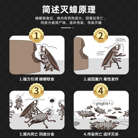 郁康 蟑螂药家用神器餐厅专用饭店正品一窝全窝强力除杀胶饵剂端灭蟑 图片 7