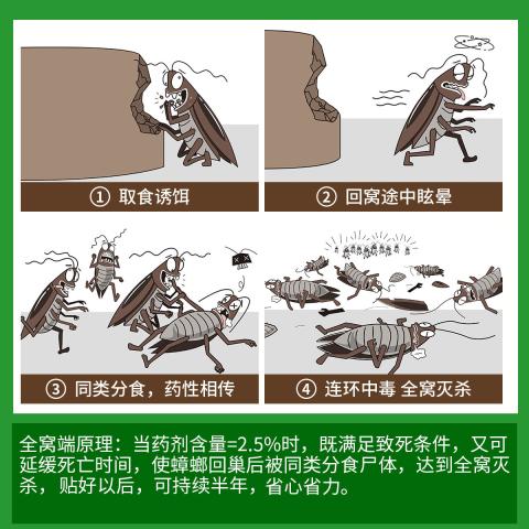 郁康 蟑螂药强力家用杀蟑胶饵厨房杀蟑药除蟑微毒大小蟑螂药连环死亡 图片 4