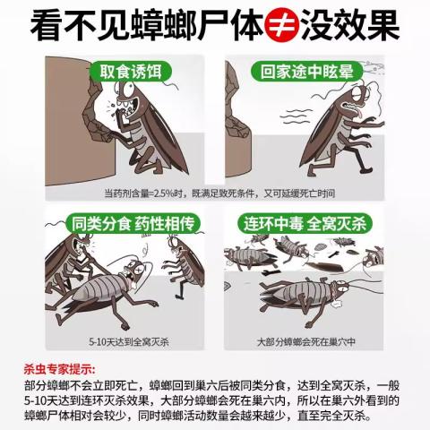郁康 15枚蟑螂药家用正品餐厅专用饭店灭除杀蟑虫卵双杀虫剂 图片 5