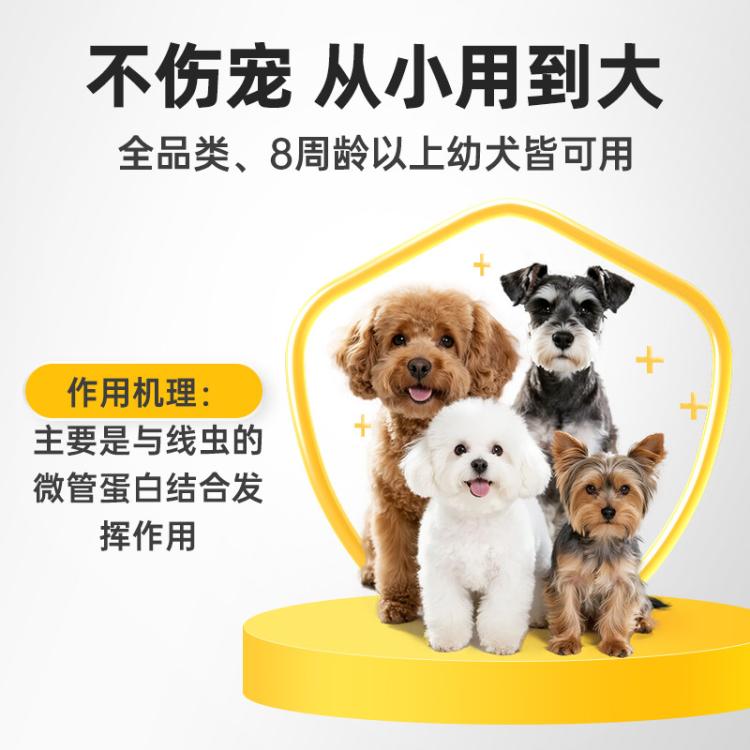 爪爪博士 阿苯达唑宠物狗狗体内驱虫药狗狗除螨虫跳蚤专用打虫药虫必治