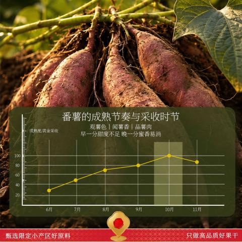 春江月 红瑶红薯干地瓜干无添加糖农家自制烤番薯干低脂零食小吃健康早餐 图片 6