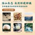 鲜珥家 有机本草银耳干货特产免煮焖泡即食雪耳银耳羹速食代餐冲泡早餐 图片 8