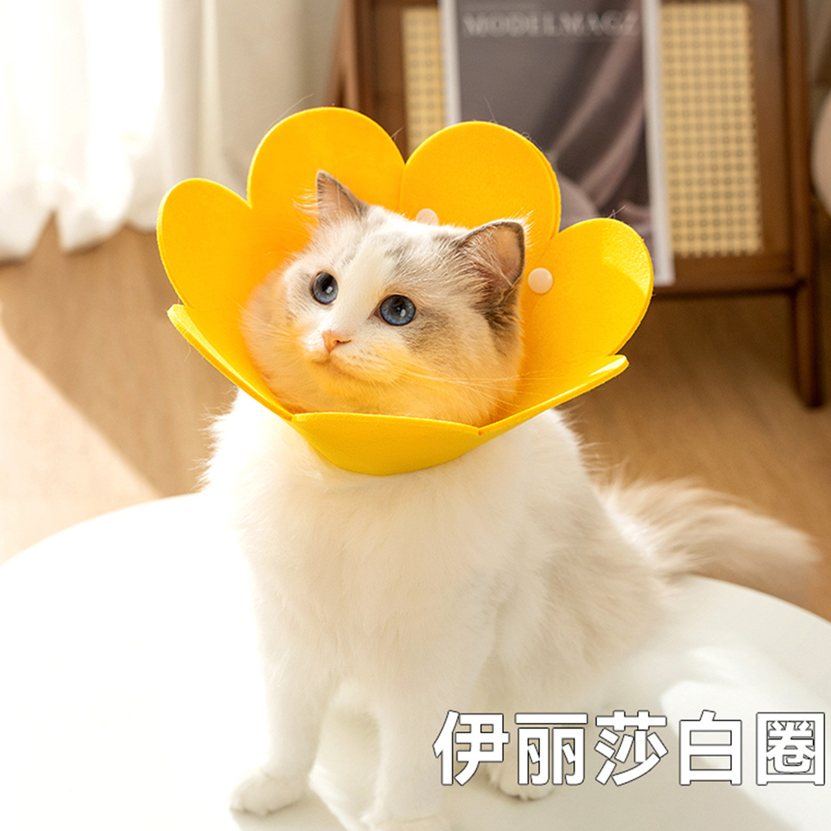 神经猫 伊丽莎白圈猫咪狗狗项圈围脖头套绝育防舔舐犬猫圈防咬防舔
