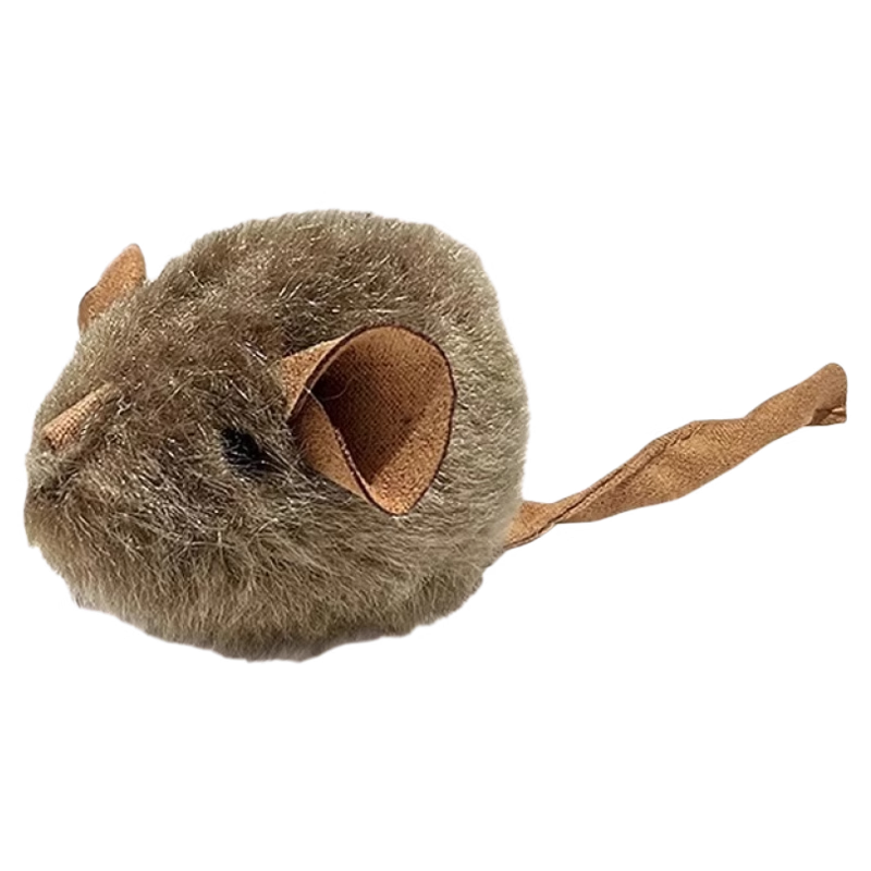 èë޷淢Сץҧн˽ƶè15Ԫ