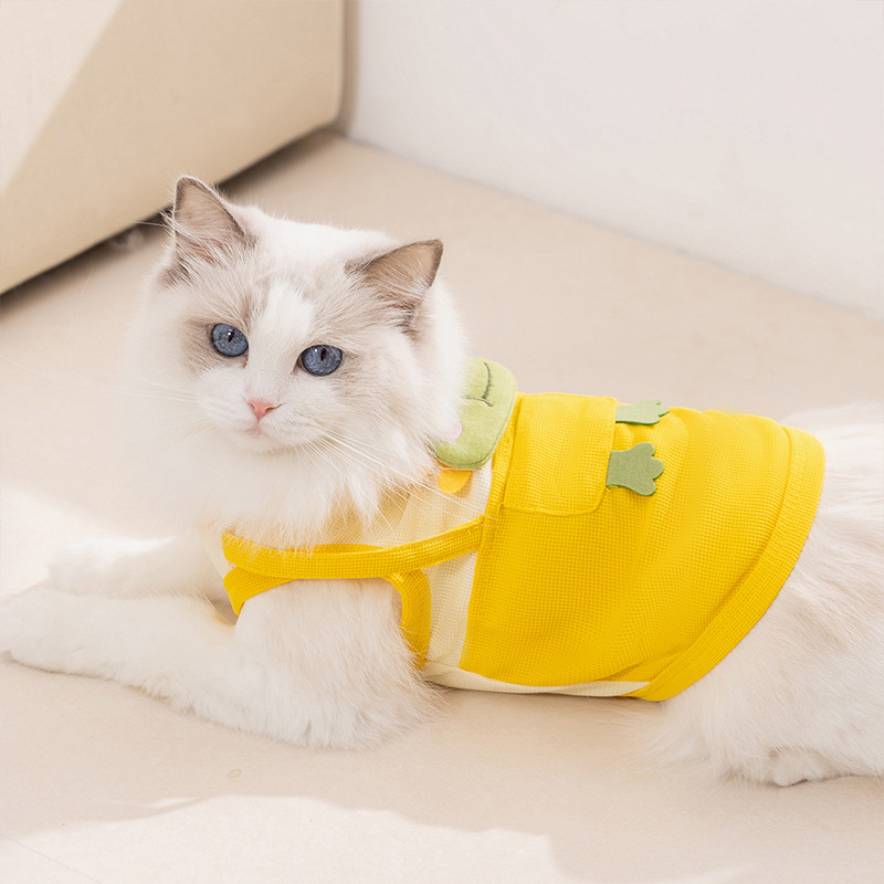 神经猫 猫衣服搞怪立体牵引背心蓝猫布偶小猫咪春夏季薄款防掉毛宠物服装