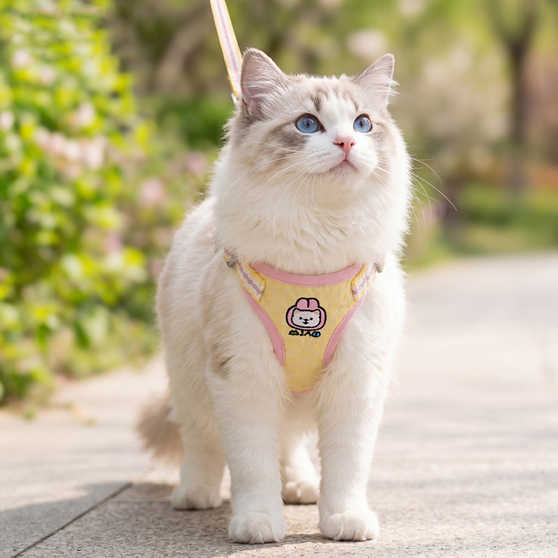 神经猫 猫咪牵引绳背心式遛狗绳四季通用透气防挣脱狗狗胸背带宠物牵引带