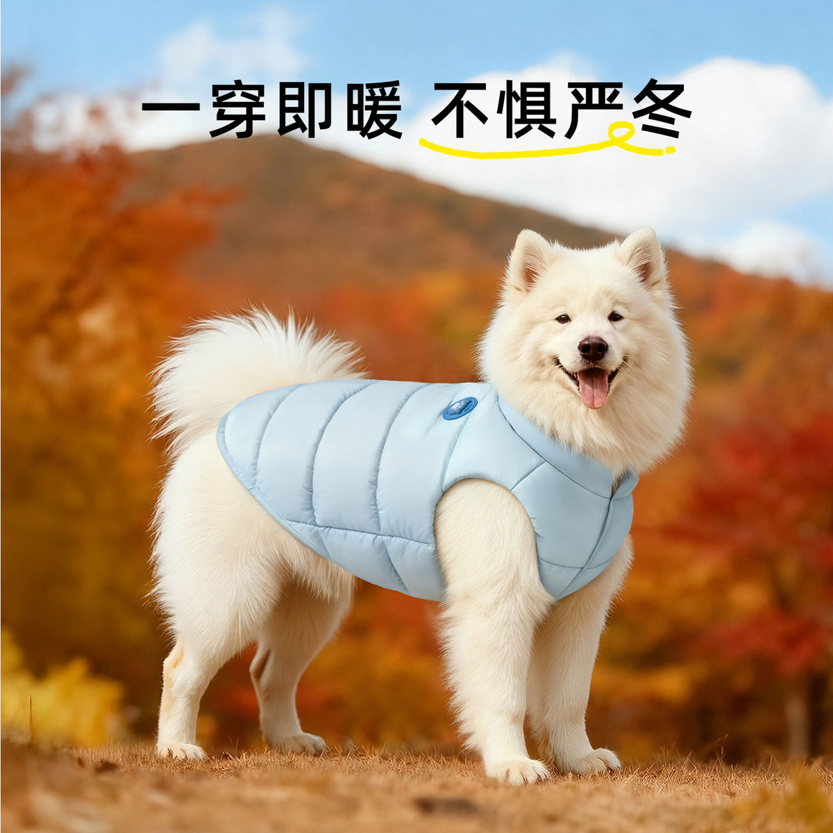 MIKI PET 狗狗衣服冬款防寒保暖棉衣宠物边牧金毛萨摩耶大型犬加绒加厚棉服