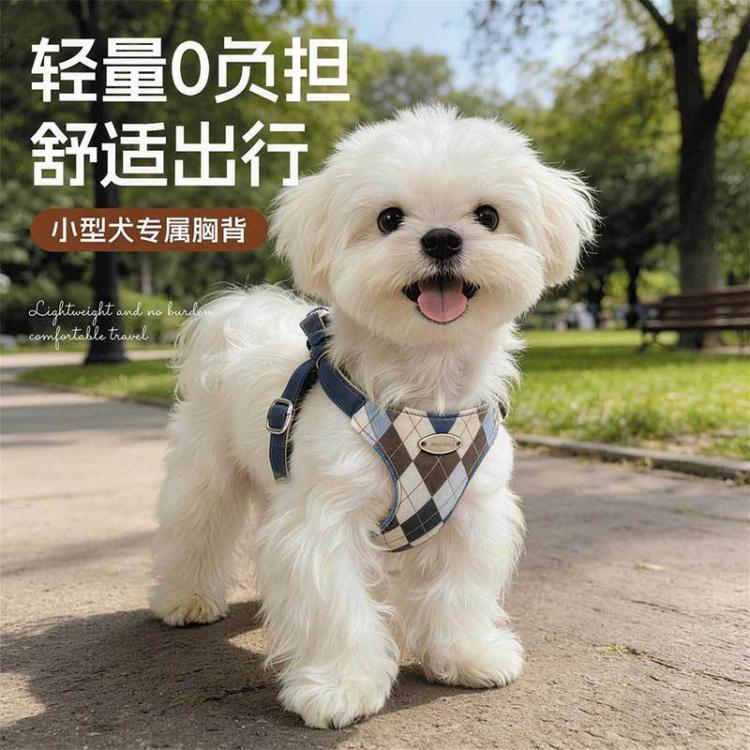 商品缩略图 2