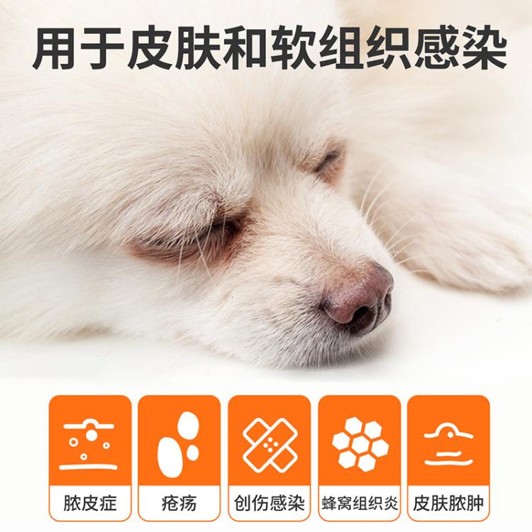 商品缩略图 12