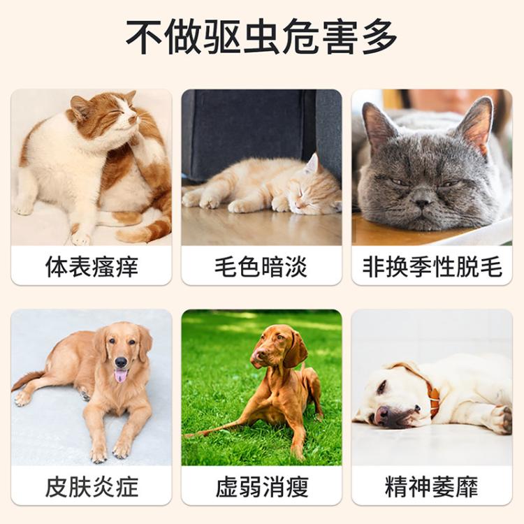 商品缩略图 6