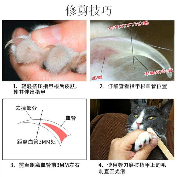 商品缩略图 5