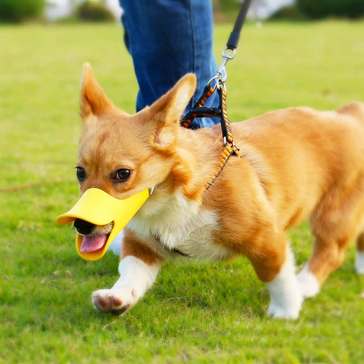 KimPets 【不伤嘴巴】宠物狗嘴套防咬防叫防乱吃宠物狗止吠口罩狗嘴套