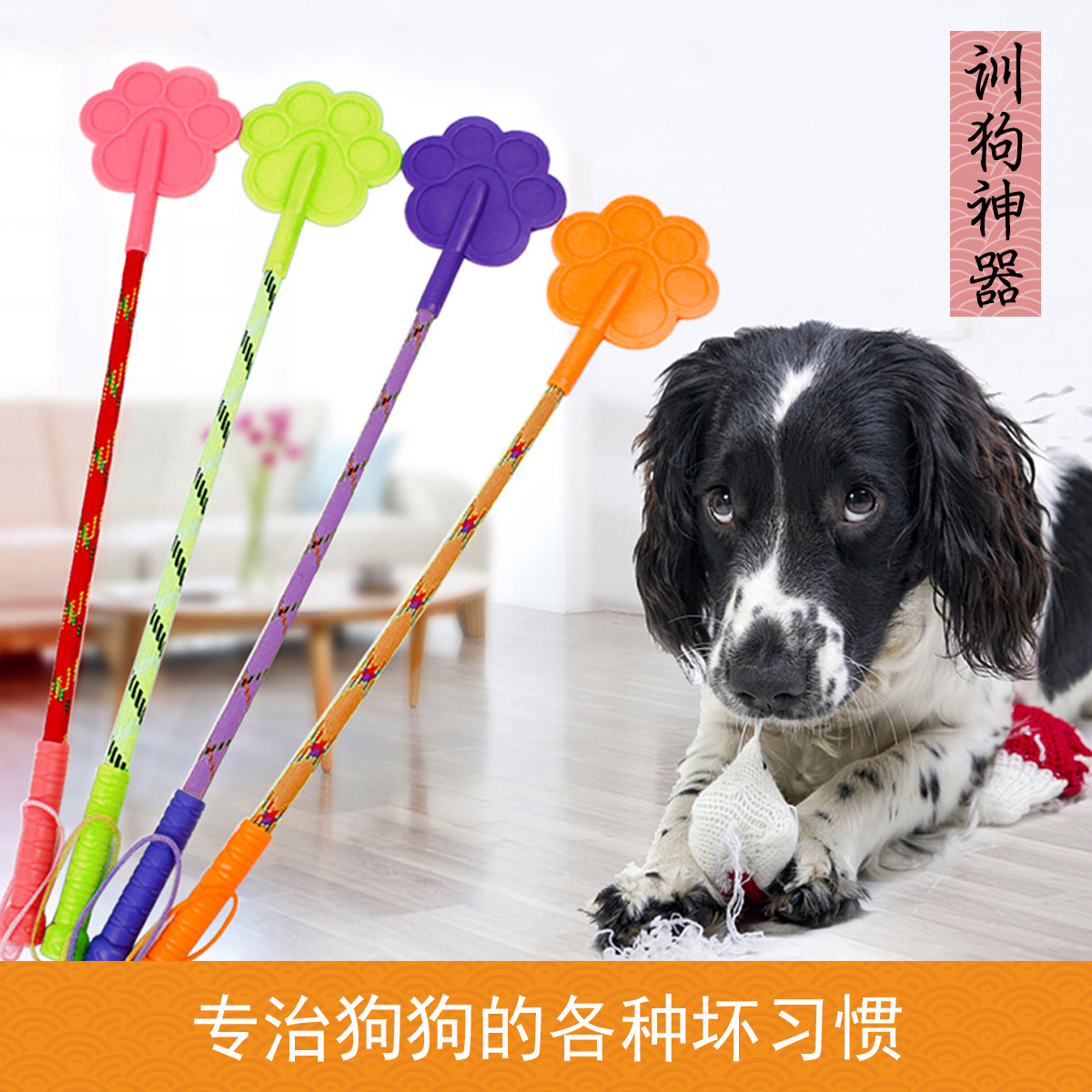 宠物狗狗狗用品