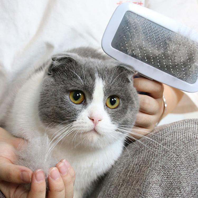 商品缩略图 6