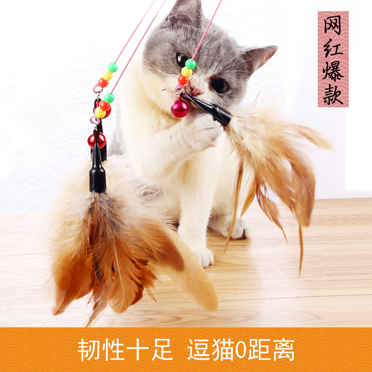 猫咪逗猫铃铛