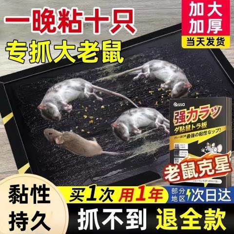 PISSA 粘鼠板加厚强力大号捕鼠神器家用厨房用强效粘贴抓捉老鼠克星 图片 1