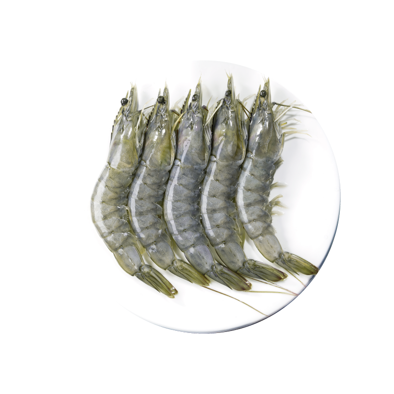 ���� ����ˮ���ζ���Ϻ��Ϻ���ʶ�϶��ԭװ���ڳ��������׶�Ϻ3.3�� 79Ԫ