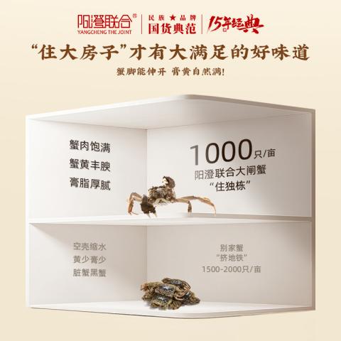阳澄联合 【大闸蟹礼券】5888型公蟹4.0两母蟹3.0两 8只螃蟹卡中秋送礼礼品 图片 5