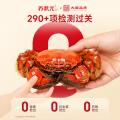 苏状元 大闸蟹礼券3888型公蟹3.5两母蟹2.5两 8只螃蟹卡中秋节日送礼 图片 4