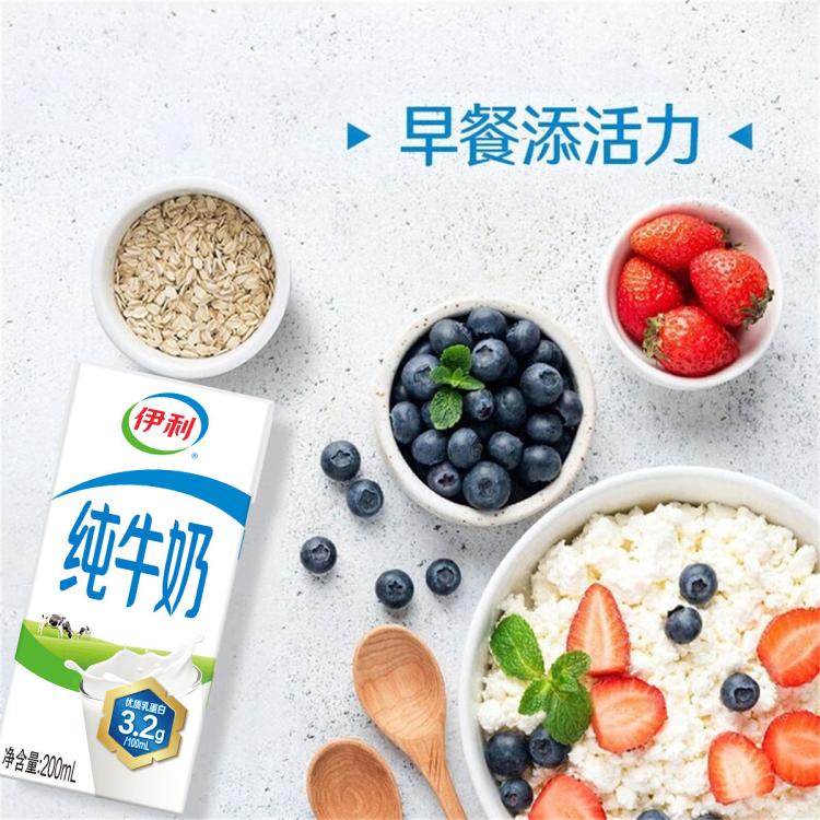 伊利yili 【2箱】伊利纯牛奶200ml*24盒整箱送礼早餐营养牛奶