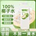 超级替补 100%椰子水椰子汁夏季饮料水果汁饮品500ml/瓶