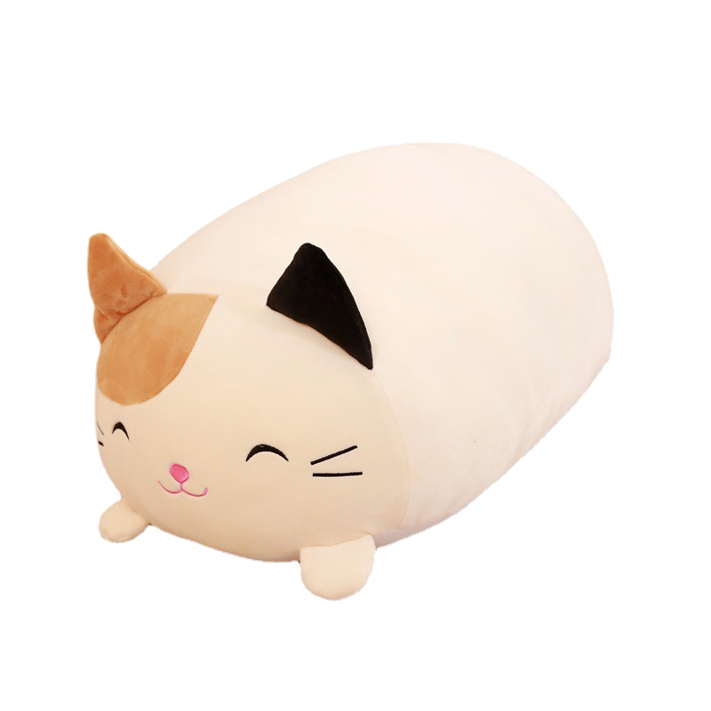 ȮżëŮ˯è乫22Ԫ