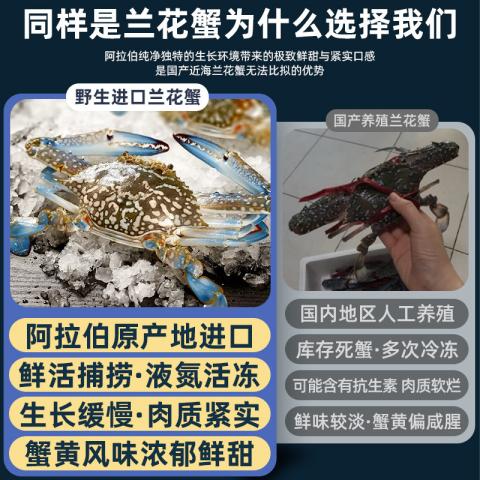 首鲜道 阿曼冷冻兰花蟹 螃蟹野外海捕 活冻梭子蟹 冷冻海产冻品1500g/袋 图片 5