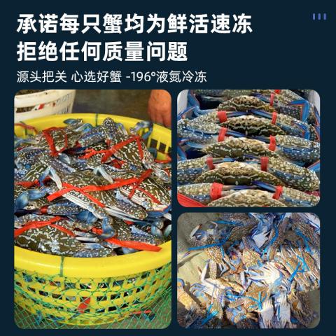首鲜道 阿曼冷冻兰花蟹 螃蟹野外海捕 活冻梭子蟹 冷冻海产冻品1500g/袋 图片 6