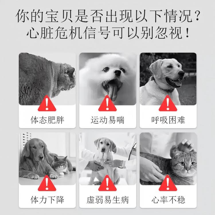 商品缩略图 4