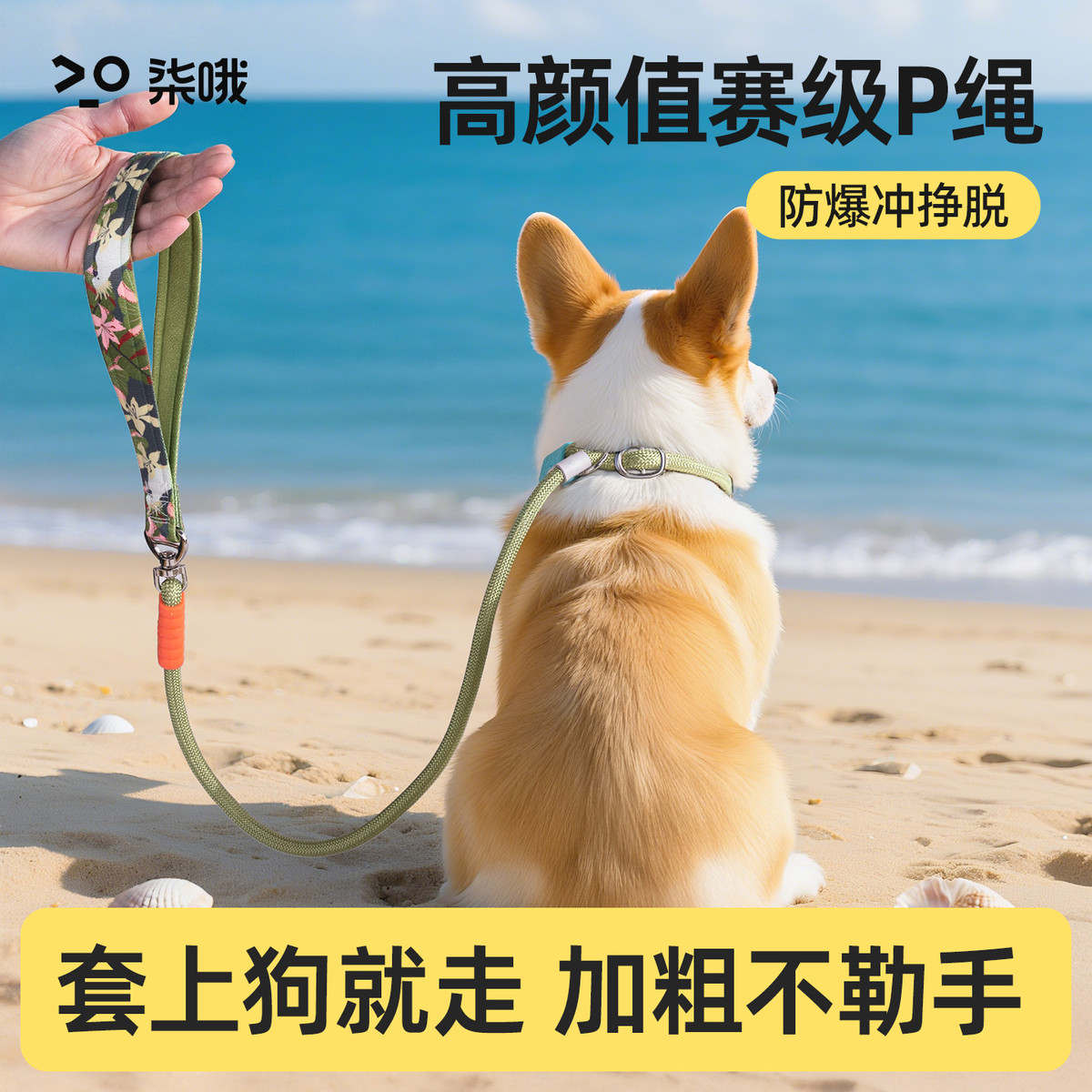 柒哦 小狗狗牵引绳防爆冲p绳狗链遛狗绳中大型犬柴犬柯基防挣脱拴狗绳