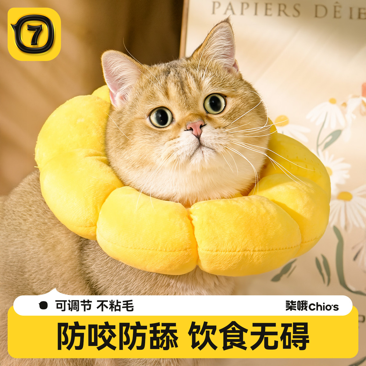 猫咪狗狗用品