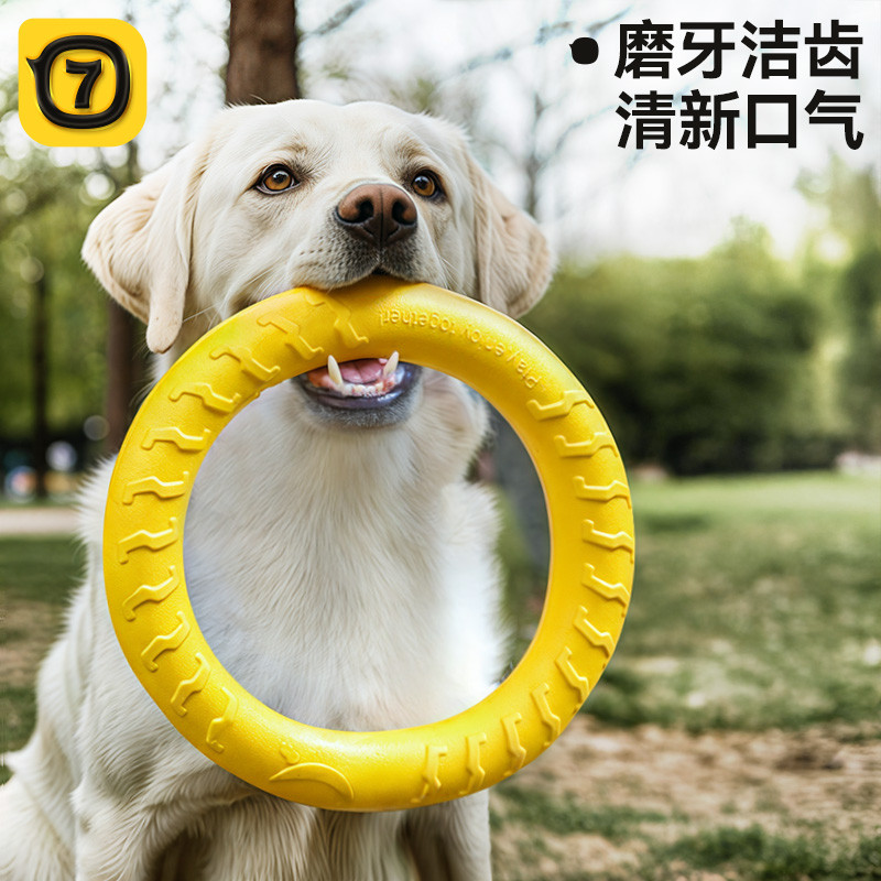 柒哦 狗狗玩具飞盘狗专用飞盘拉力环耐咬金毛边牧可浮水户外训练飞盘