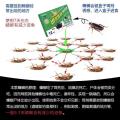 Poemoon 蟑螂药一窝端无毒家用强效商用强力灭虫药特效厨房高效去蟑螂诱饵 图片 2