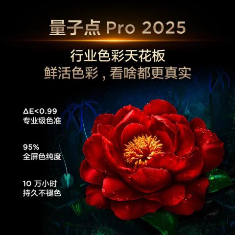 TCL 电视 Q9L Pro QD-Mini LED蝶翼星曜屏万象分区55/65/75/85/98英寸 图片 8