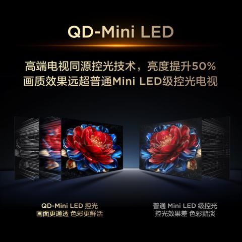 TCL 电视 T5M QD-Mini LED控光高刷 QLED量子点 超薄55/65/75/85英寸 图片 3