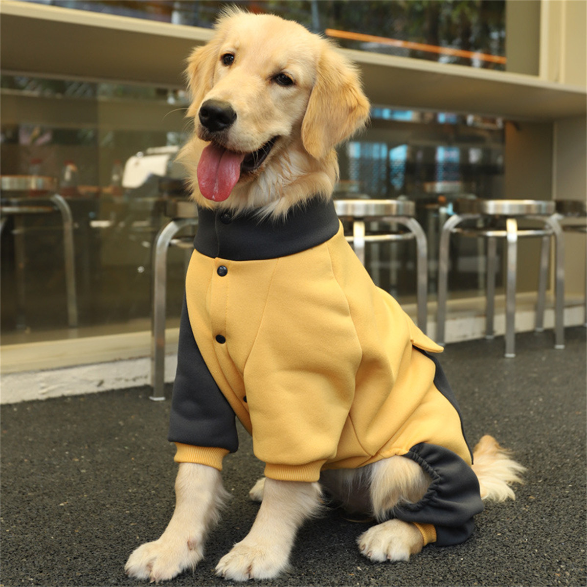 HOOPET 狗狗衣服秋冬金毛中型大型犬宠物春秋款大狗拉布拉多四脚卫衣冬季