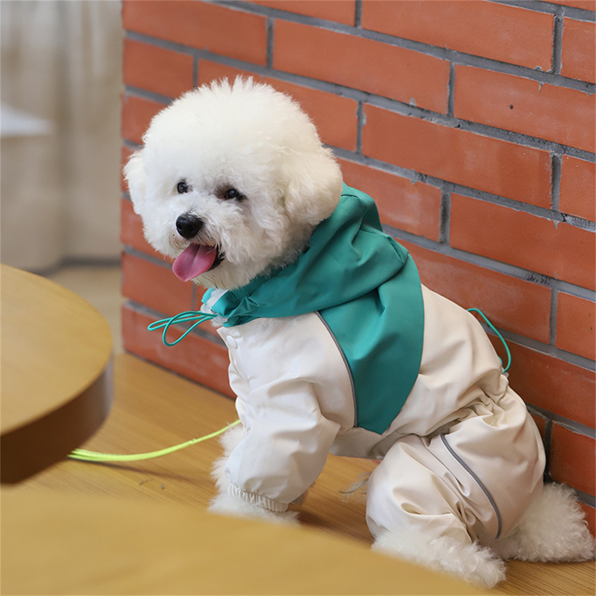 HOOPET 狗狗衣服小狗雨衣夏天薄款冲锋衣防掉毛泰迪约克夏宠物小狗猫咪