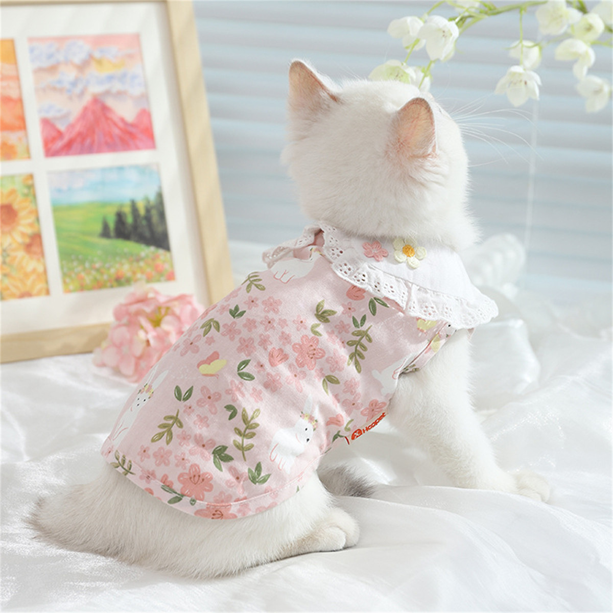 HOOPET 猫咪衣服防掉毛薄款夏天布偶猫服装春秋小猫宠物猫猫幼猫夏季背心