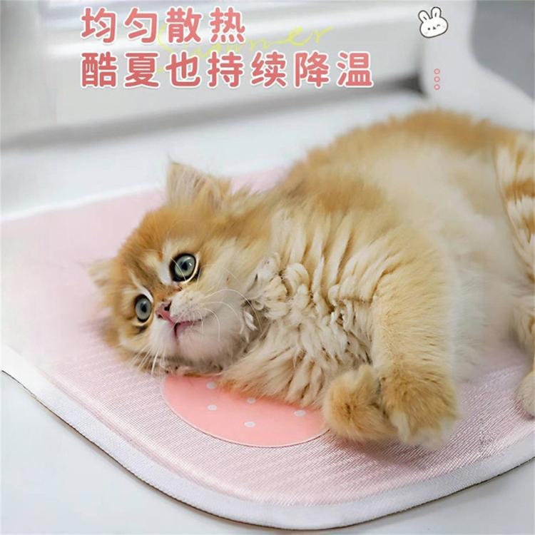 商品缩略图 4